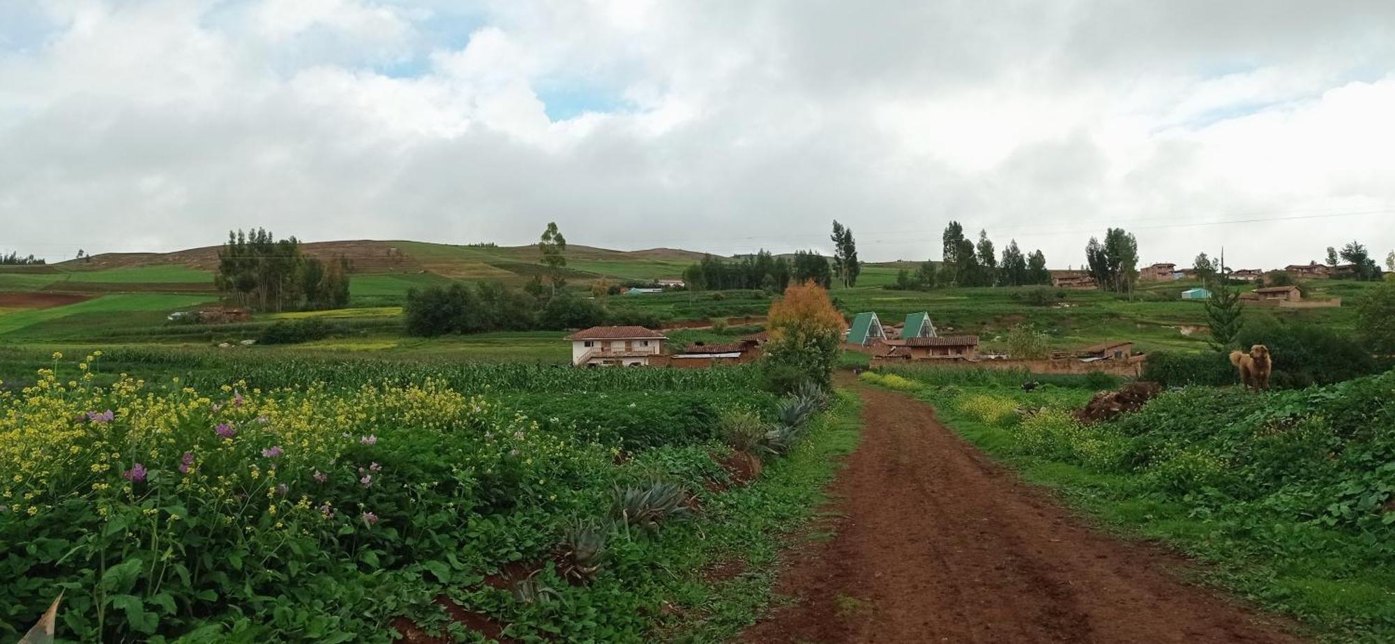 Apartamento Runa Cuzco